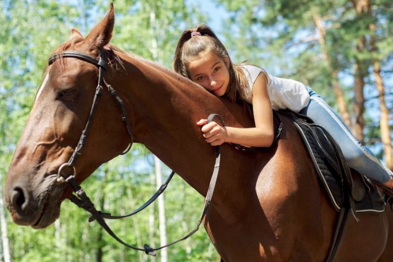 Diamond J Ranch - Horse Connection