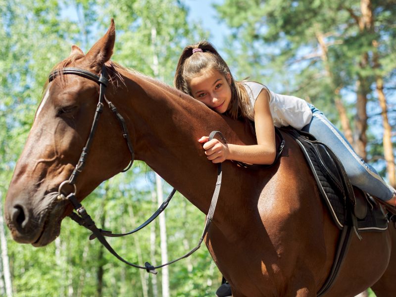 Diamond J Ranch - Horse Connection