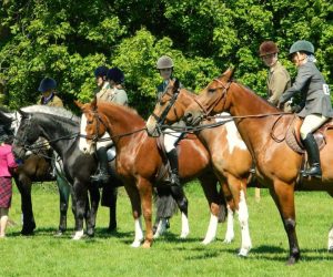 Diamond J Ranch Equestrian Competitors