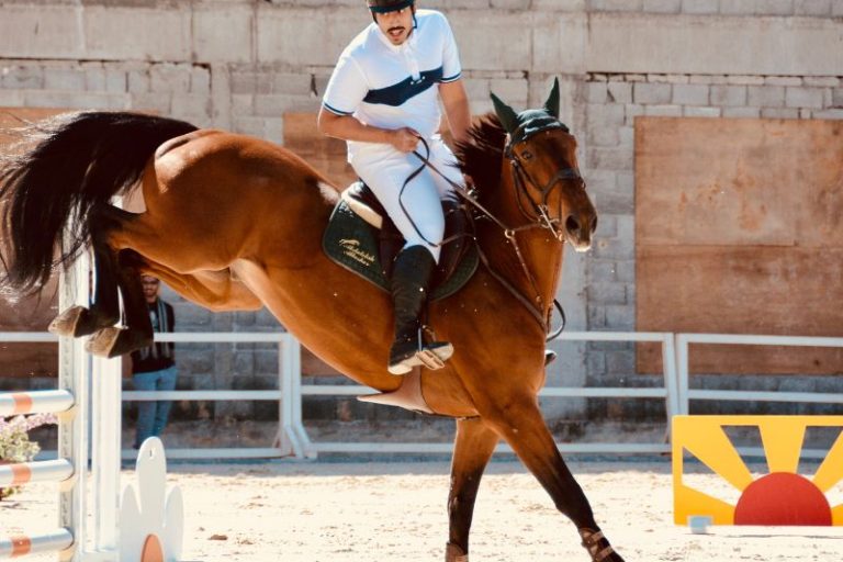 Diamond J Ranch Training