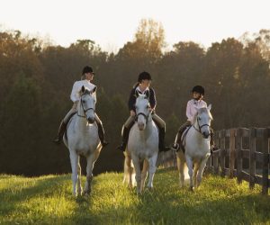 Diamond J Ranch Camaraderie