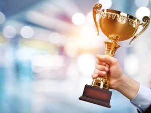 Diamond J Ranch Formidable Equestrian