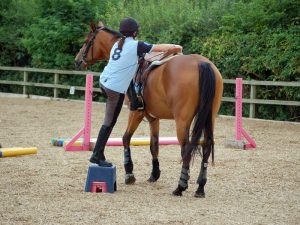 Diamond J Ranch Mounting Horse
