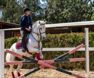 Diamond J Ranch New Challenges