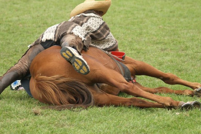 Diamond J Ranch Take A Fall