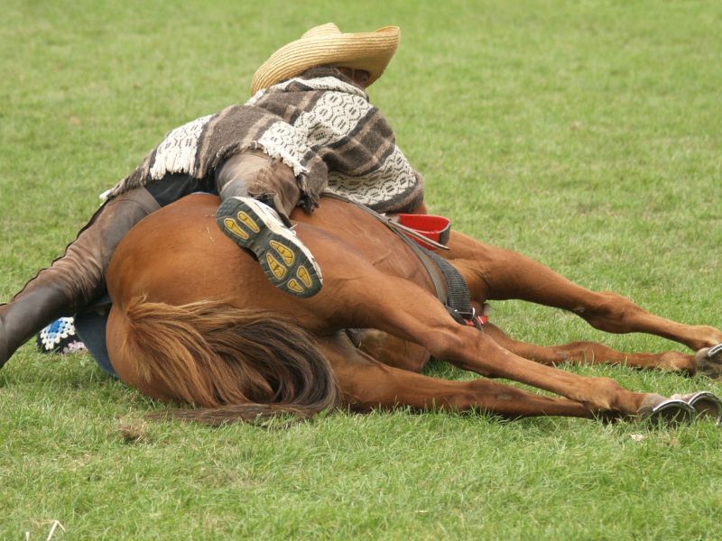 Diamond J Ranch Take A Fall