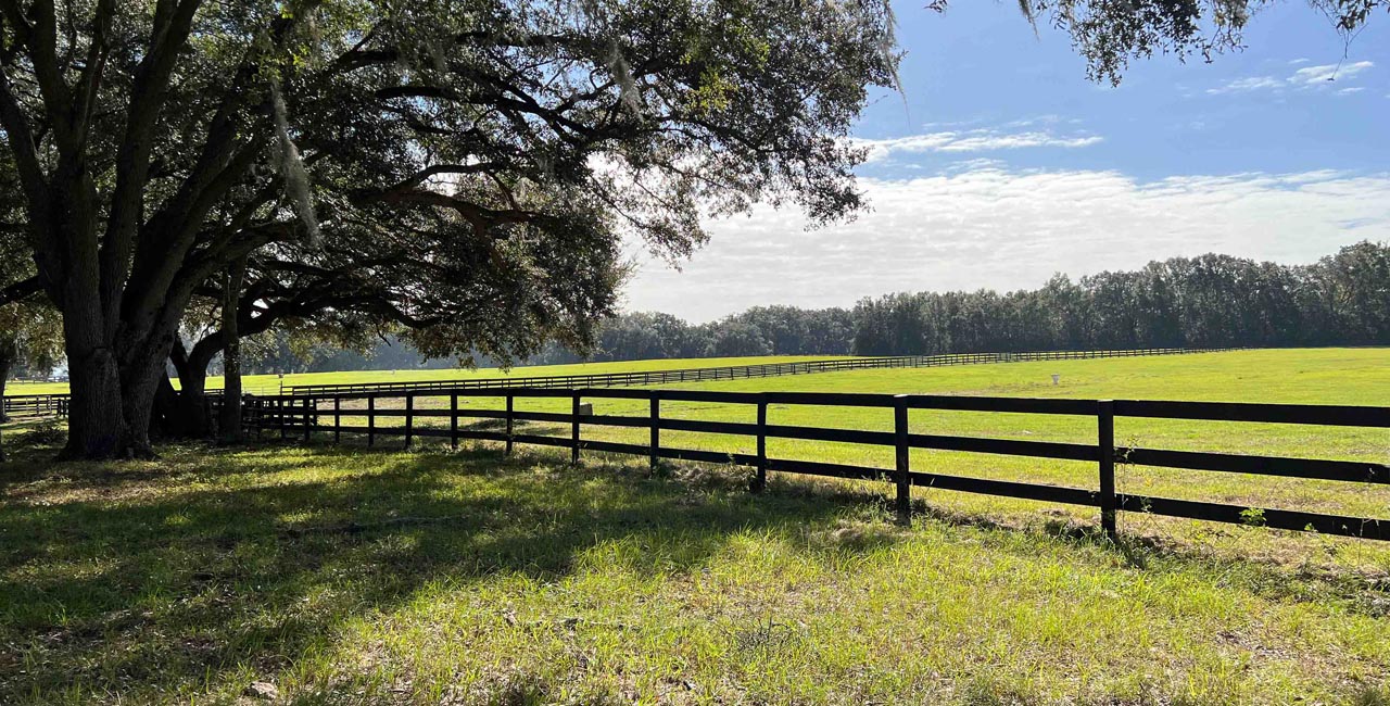 HOME DIAMOND J RANCH